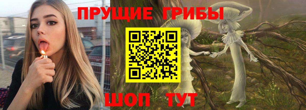 Псилоцибиновые грибы Cubensis  Вход с VPN  Волжский 